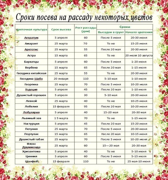 Рассада. Когда и что сажать ?