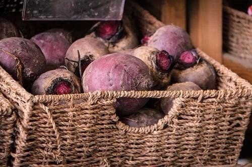 Что нужно учесть, чтобы продлить сроки хранения свеклы?
