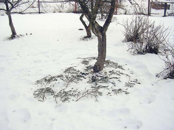 Дача зимой