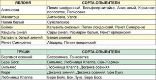 Опыление сада-дело самого сада