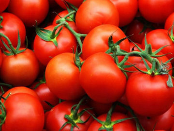 Красное освещение делает помидор вкуснее - эксперты