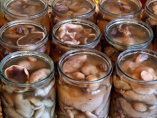 Рецепт маринованных маслят