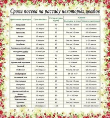 Рассада. Когда и что сажать ?