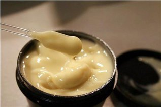 Барсучий жир от кашля: как лечиться этим средством