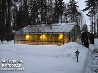 Советы хозяину теплицы