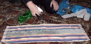 Выращиваем рассаду без земли