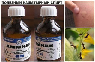 Нашатырный спирт: 7 бед один ответ
