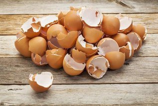 Лекарства из... продуктовых отходов